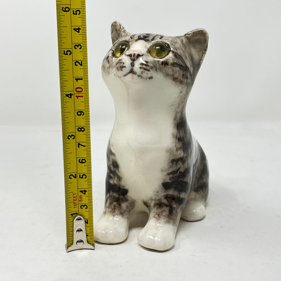 Winstanley Light Grey Tabby Cat Looking Up - Size 2