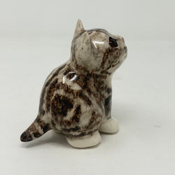 Winstanley Grey Tabby Cat Looking Up - Size 1