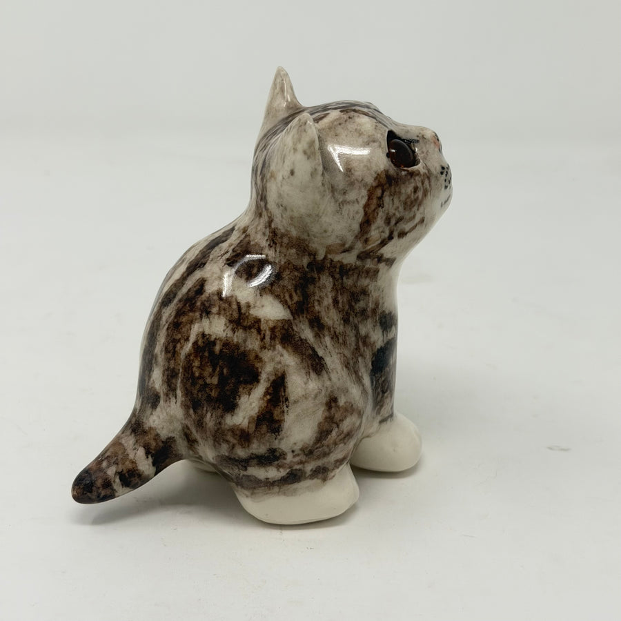 Winstanley Grey Tabby Cat Looking Up - Size 1