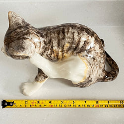 Winstanley Tabby Cat Scratching - Size 5