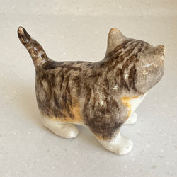 Winstanley Tabby, Brown and White Cat - Size 2