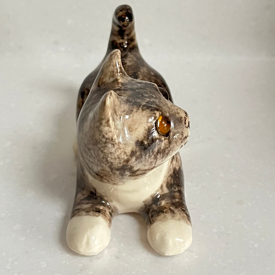 Winstanley Grey Tabby Kitten - Size 1