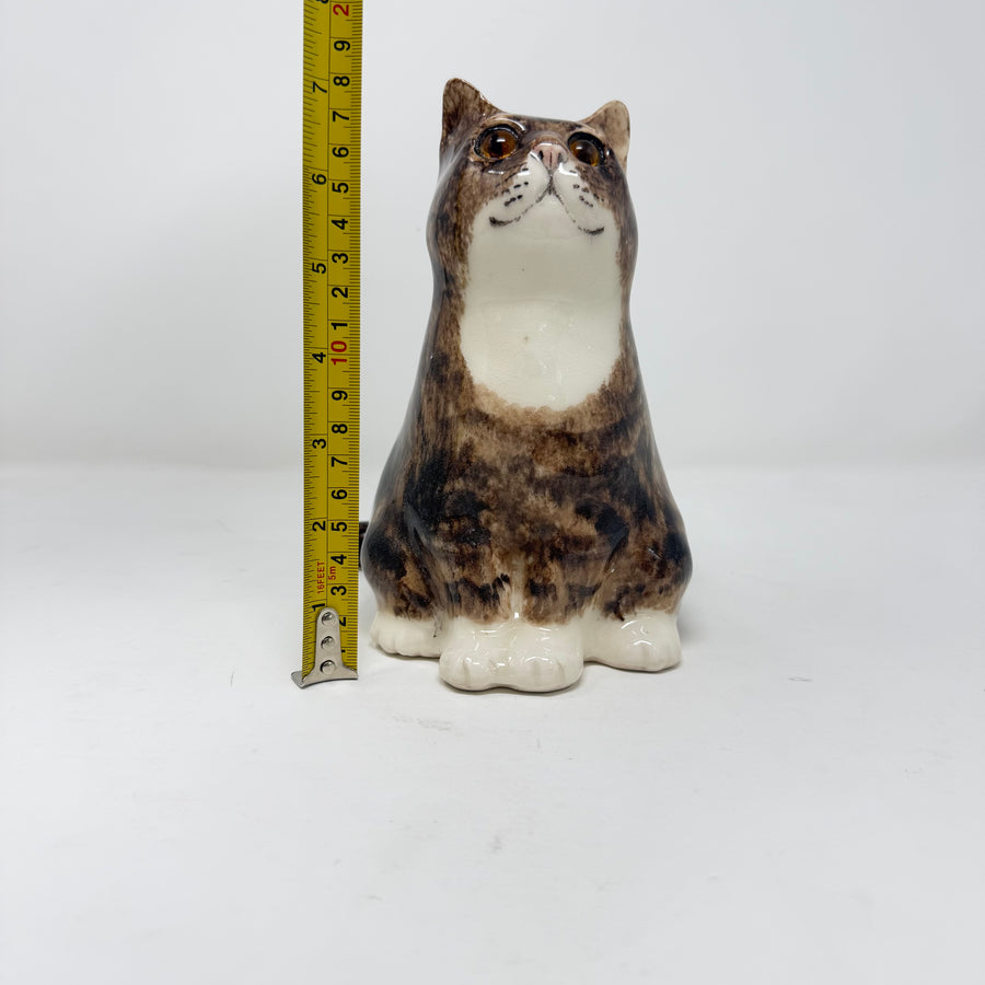 Winstanley Chubby Tabby & White Cat - Size 3