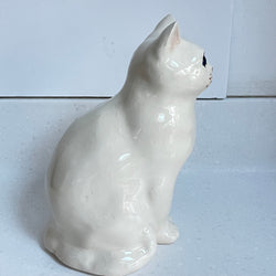 Winstanley White Cat, Blue Eyes - Size 3