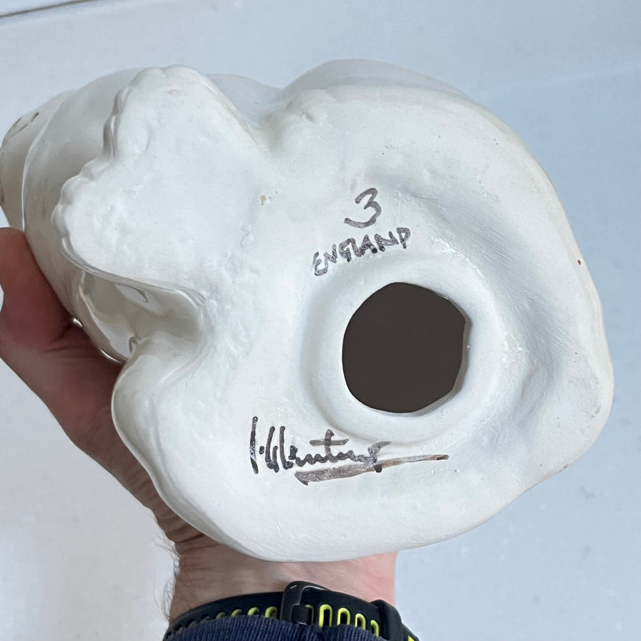 Winstanley White Cat, Blue Eyes - Size 3