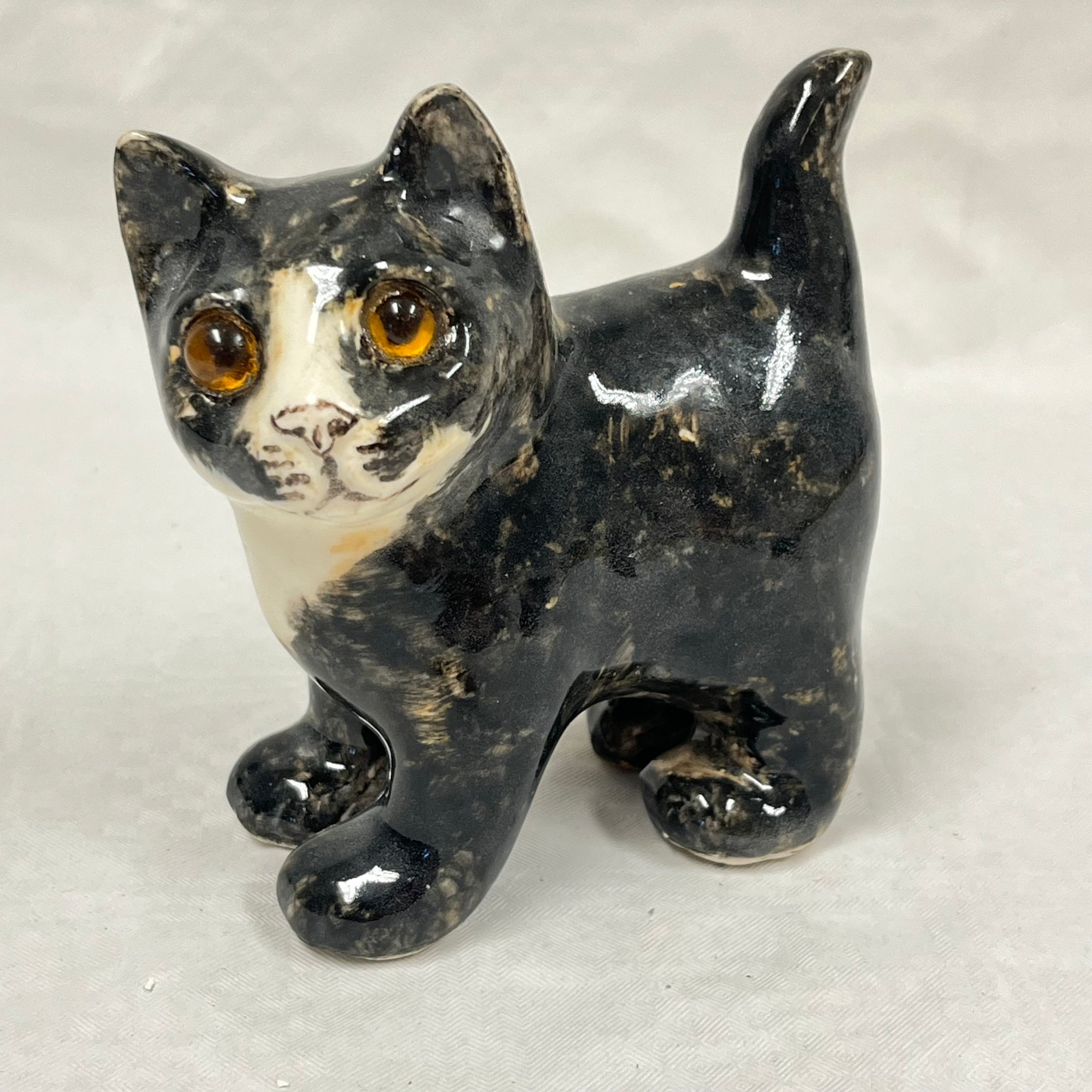 Winstanley Black & White Kitten - Size 1