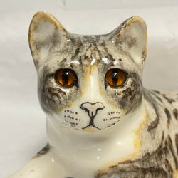 Winstanley Tabby & White Cat Lying - Size 7