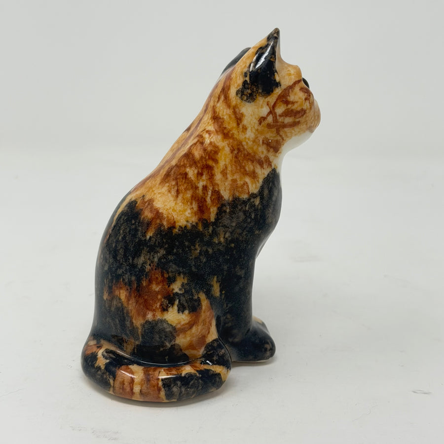 Winstanley Stunning Tortoiseshell Cat - Size 1