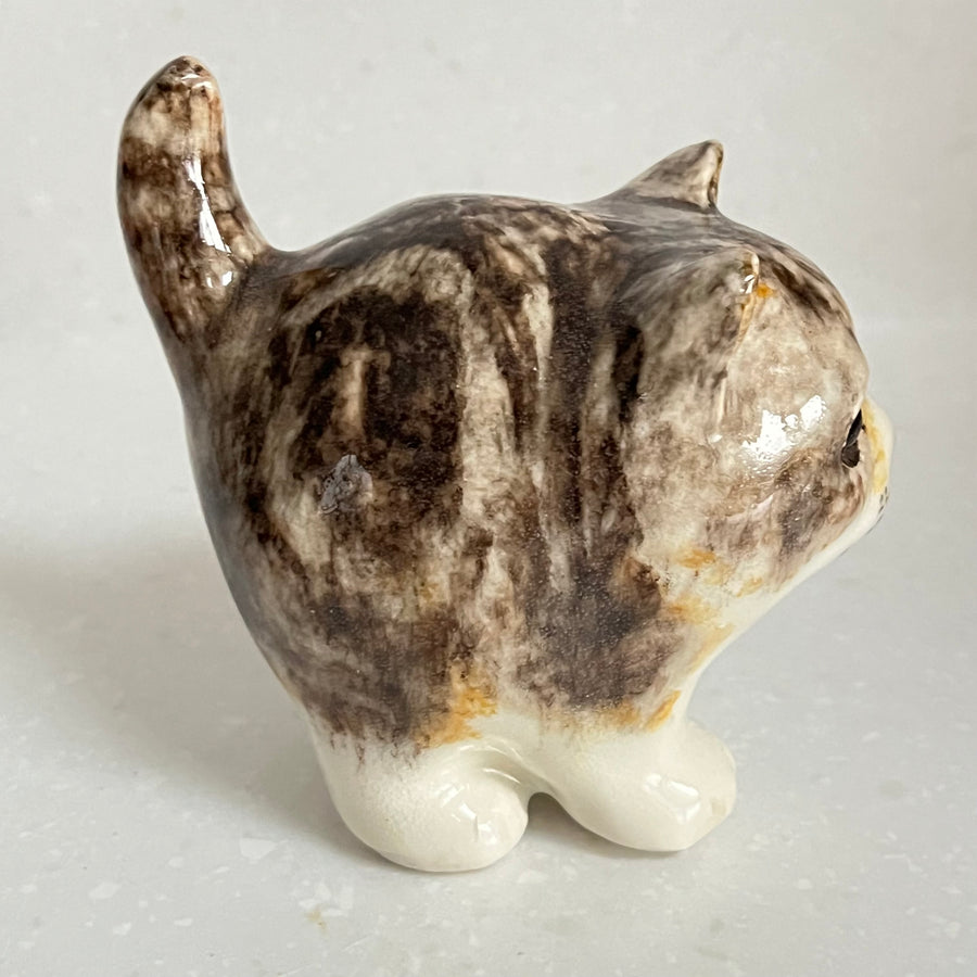 Winstanley Chubby Kitten - Size 1