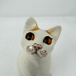 Winstanley White and Ginger Cat Size 2