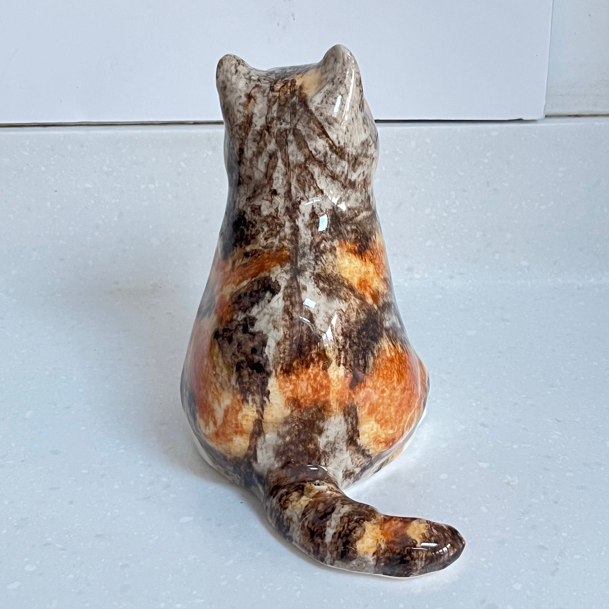 Winstanley Chubby Tortie - Size 3