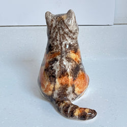 Winstanley Chubby Tortie - Size 3