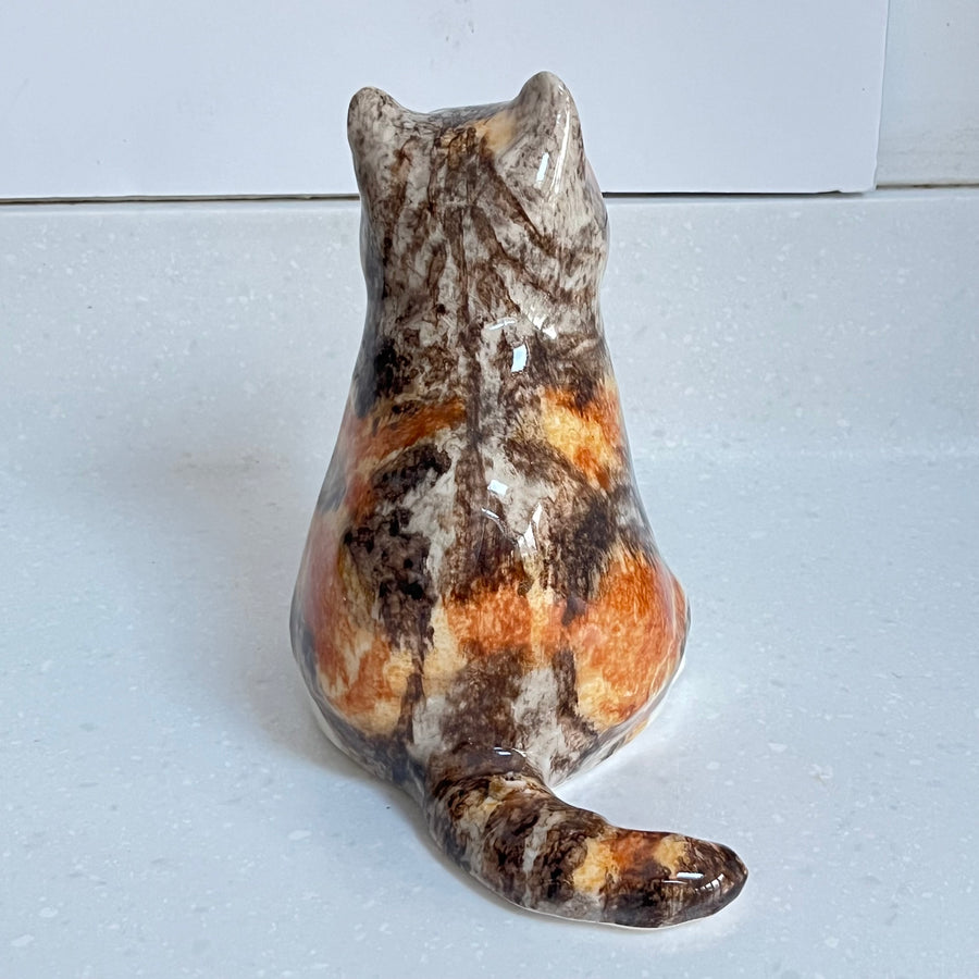 Winstanley Chubby Tortie - Size 3