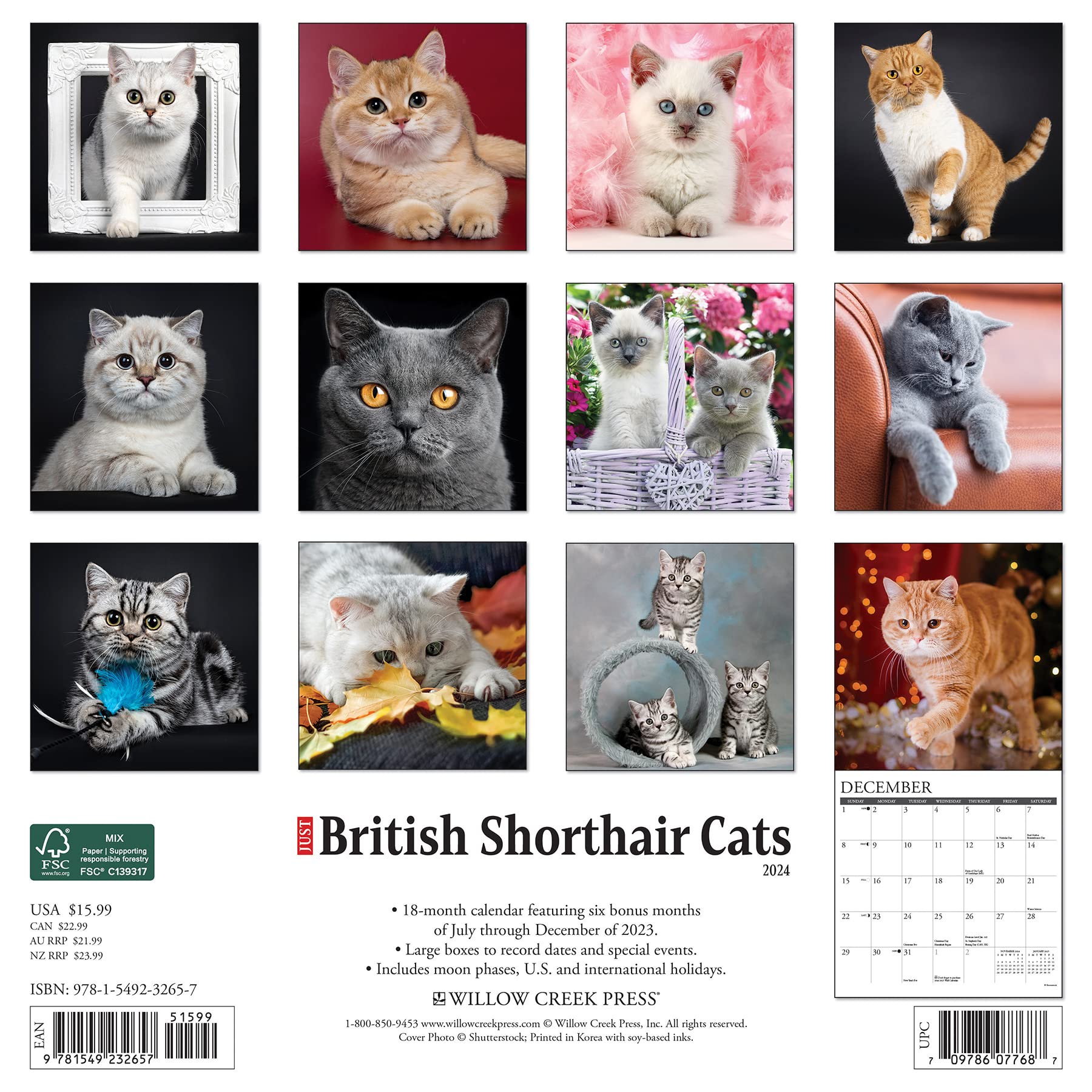 British Shorthair Cats 2024 Wall Calendar – The Cat Gallery