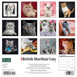50% DE DESCUENTO Gatos británicos de pelo corto 2023 Calendario de pared