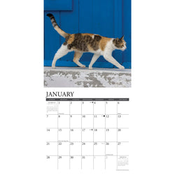 Calico Cats 2023 Calendario de pared