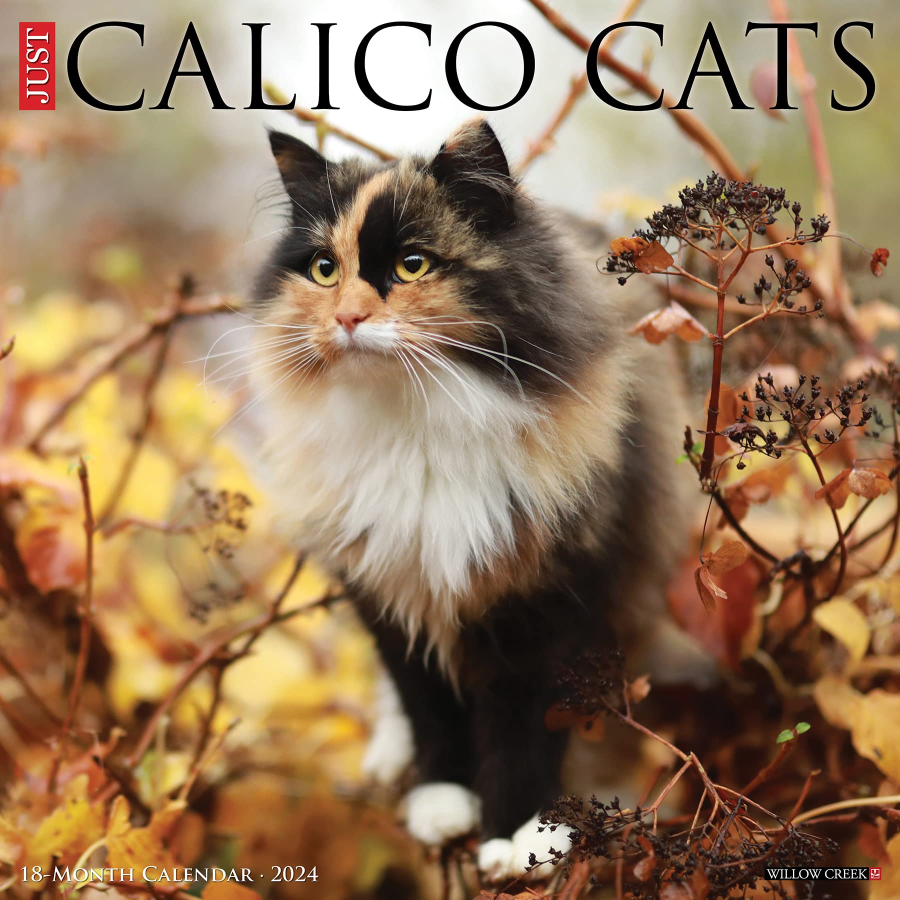 Calico Cats 2024 Wall Calendar