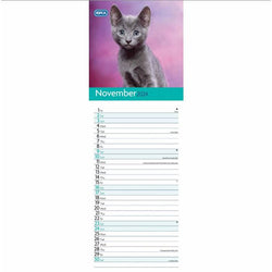 I Love Kittens RSPCA 2024 Slimline Calendar