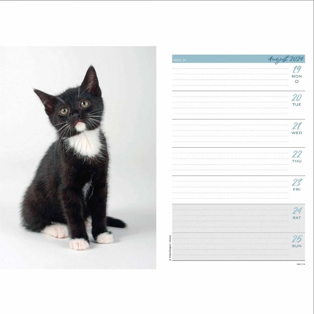 Kittens Desk 2024 Diary