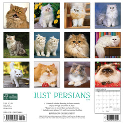 Calendario de pared de gatos persas 2023