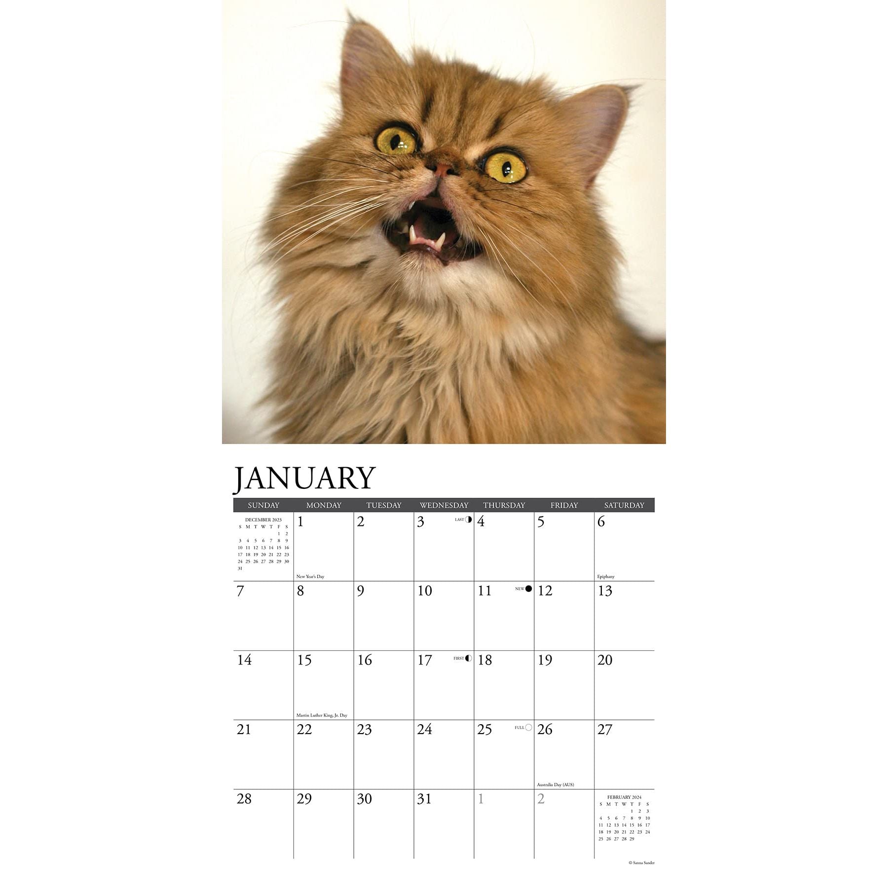 Calendario de pared de gatos persas 2023