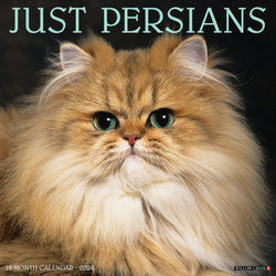 Persian Cats 2024 Wall Calendar