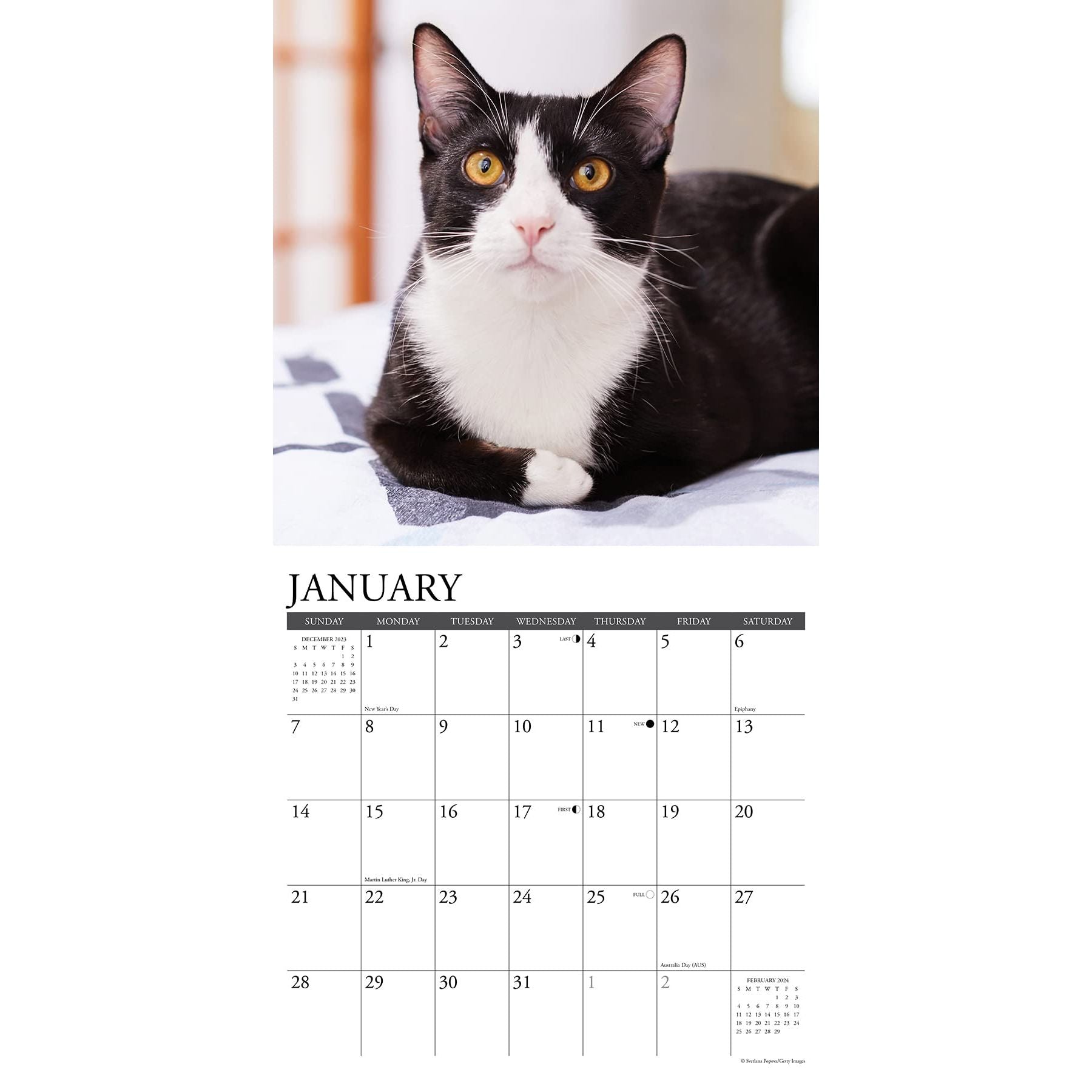 50% OFF Tuxedo Cats 2024 Wall Calendar