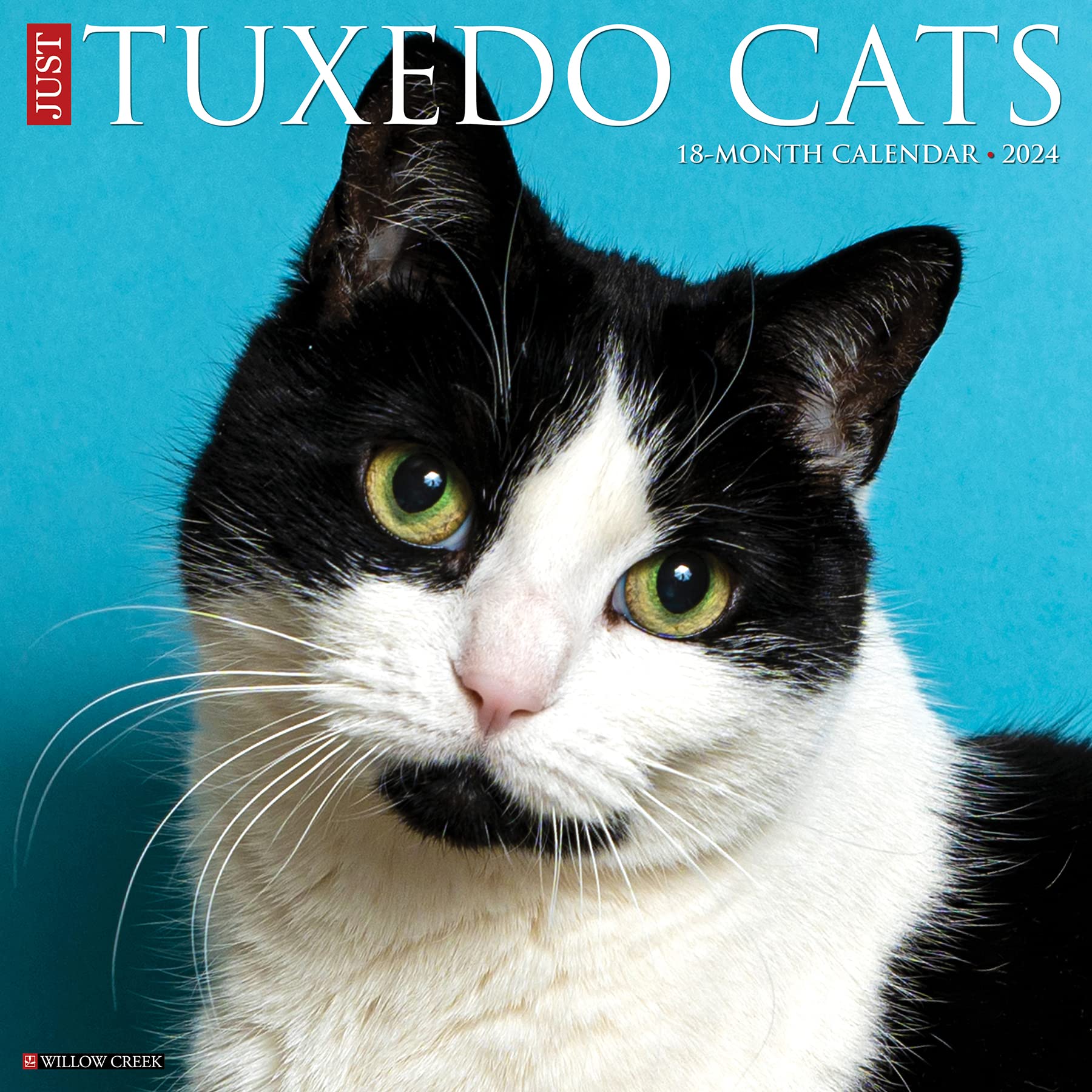 50% OFF Tuxedo Cats 2024 Wall Calendar
