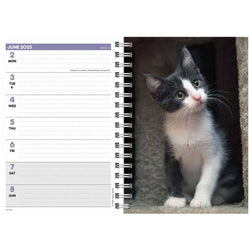 Kittens Desk 2025 Diary