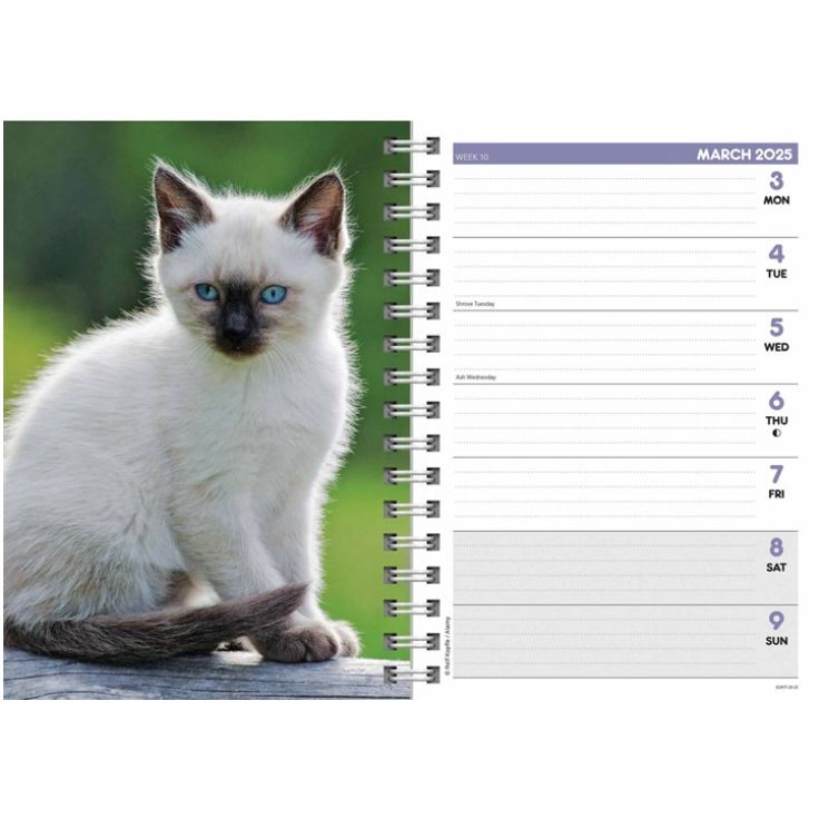 Kittens Desk 2025 Diary