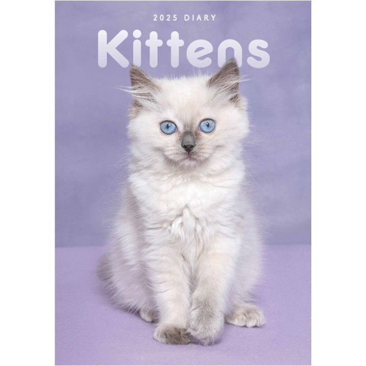 Kittens Desk 2025 Diary