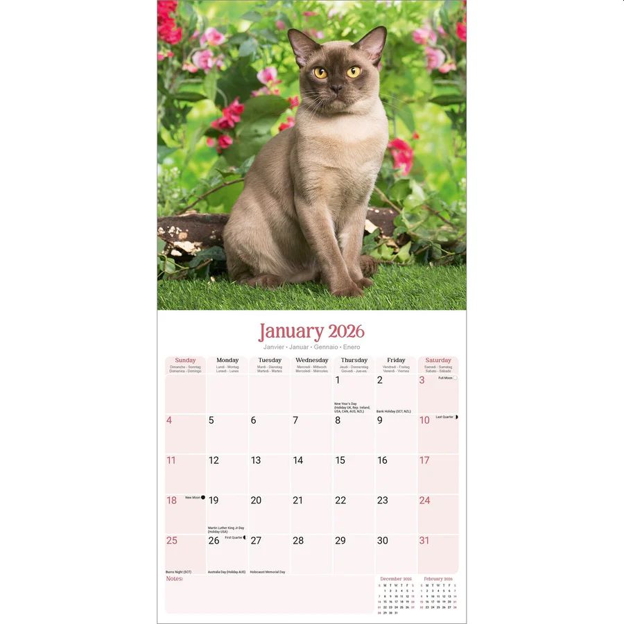 Burmese Cats 2026 Wall Calendar