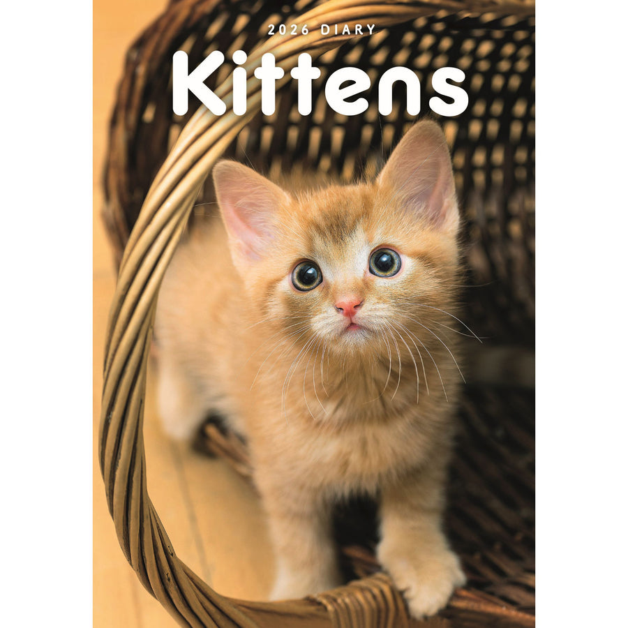 Kittens Desk 2026 Diary