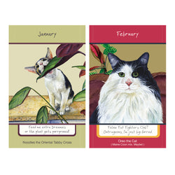 Cat illustrations for 2027 diary, January and February