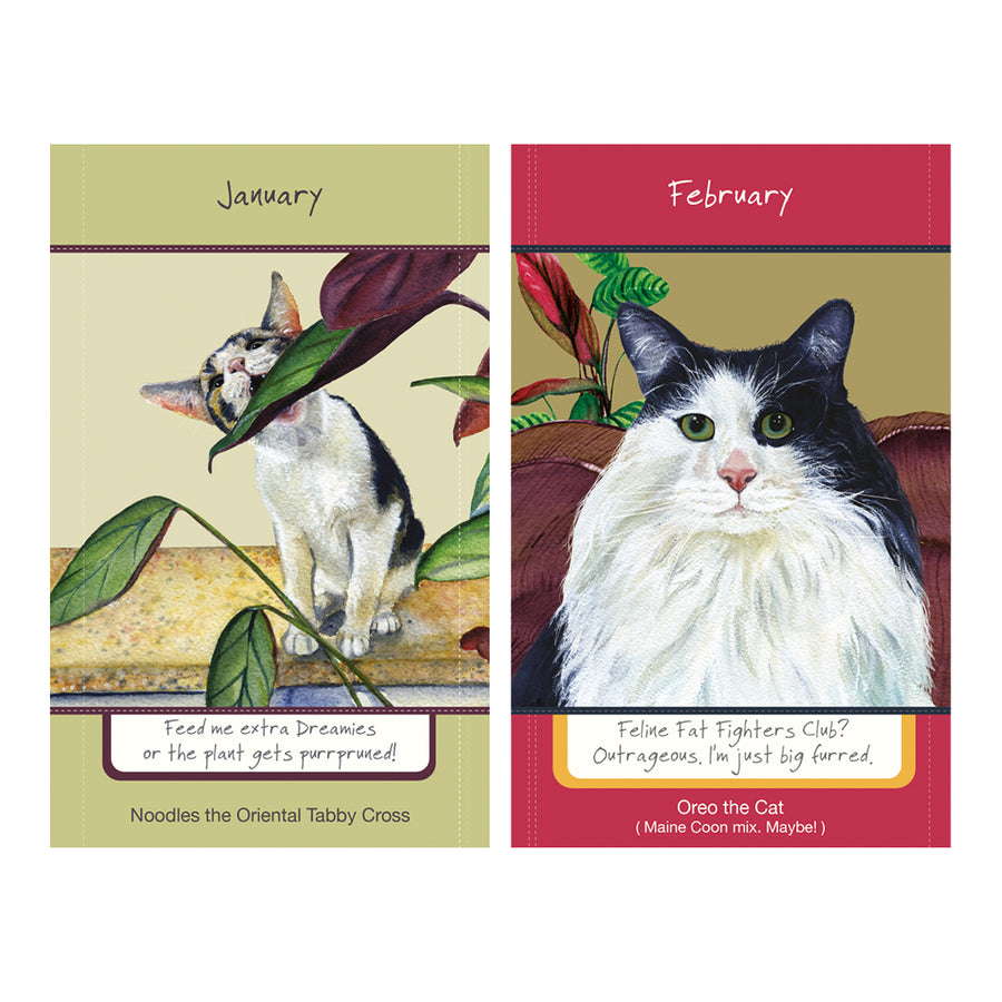 Cat illustrations for 2027 diary, January and February
