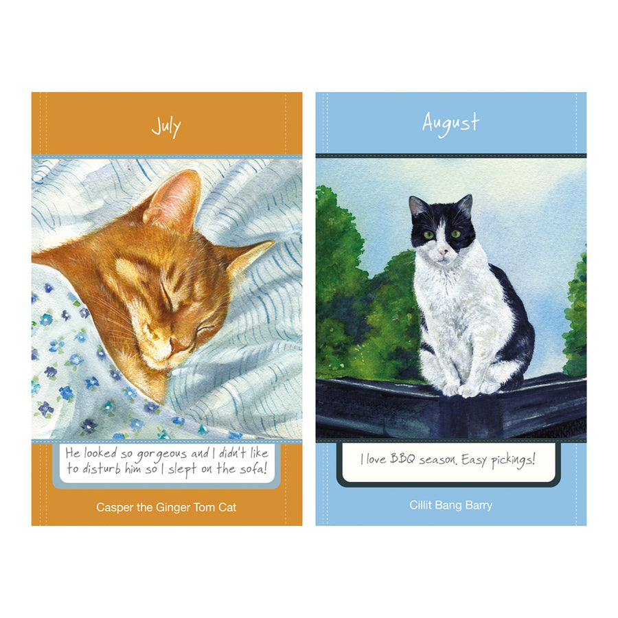 Cat illustrations for 2027 diary, July and August