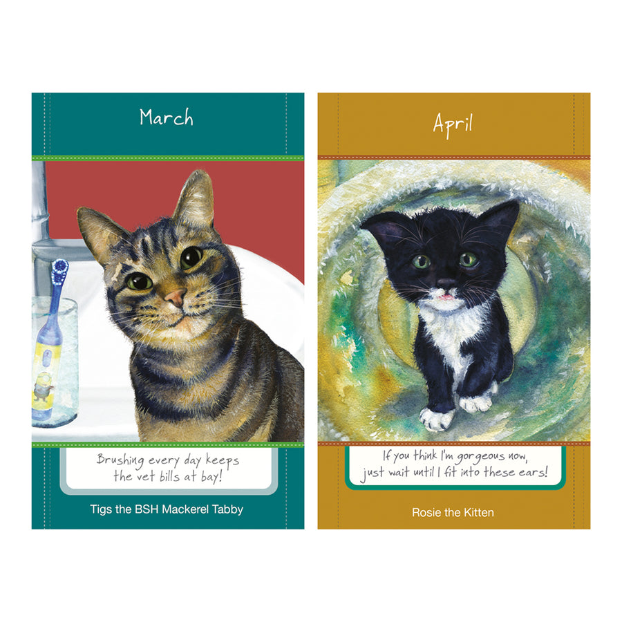 Cat illustrations for 2027 diary, March and April
