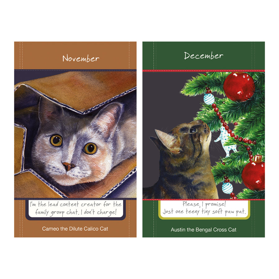 Cat illustrations for 2027 diary, November and December
