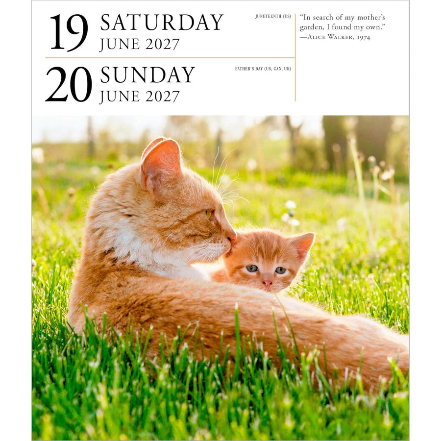 Calendar page with ginger cat and kitten in a grassy field, showing dates and a quote.