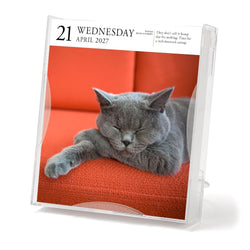 Calendar with a grey cat on an orange couch for April 2027