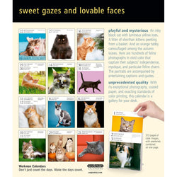 Cat-themed calendar with various cat images and text about the product.