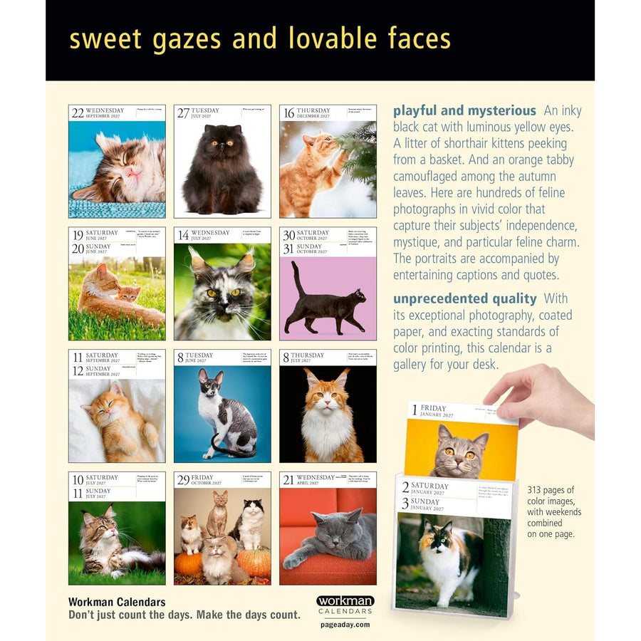 Cat-themed calendar with various cat images and text about the product.