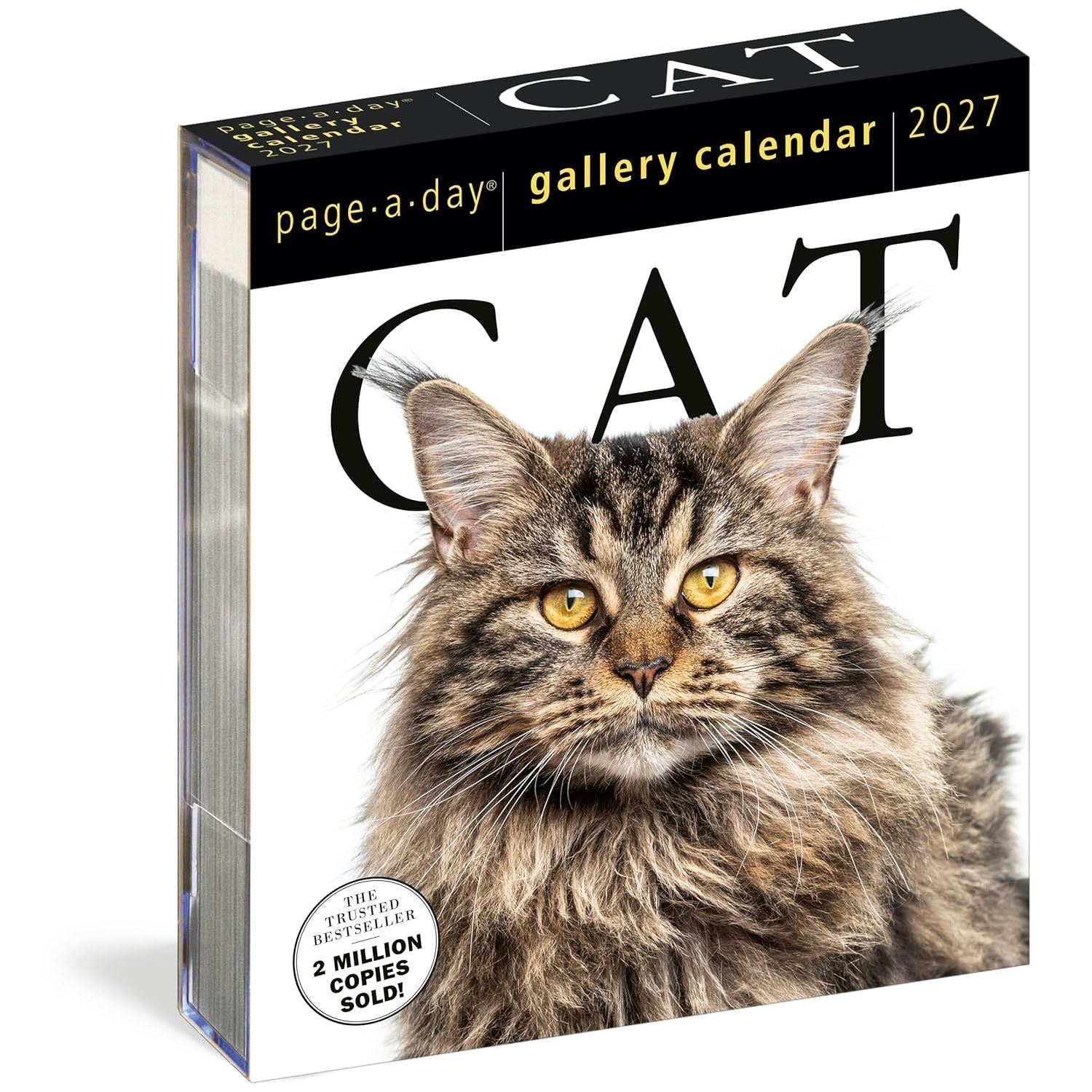Page A Day Cat Gallery 2027 Desk Calendar