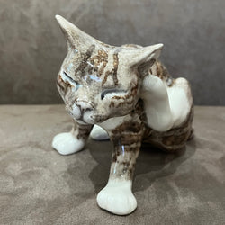 Winstanley Tabby Scratching - Size 3