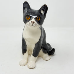 Winstanley Black & White Cat Size 2