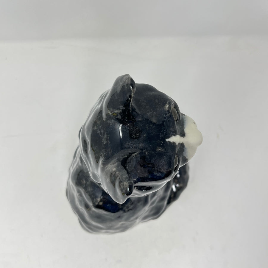 Winstanley Long Haired Black & White Cat - Size 4