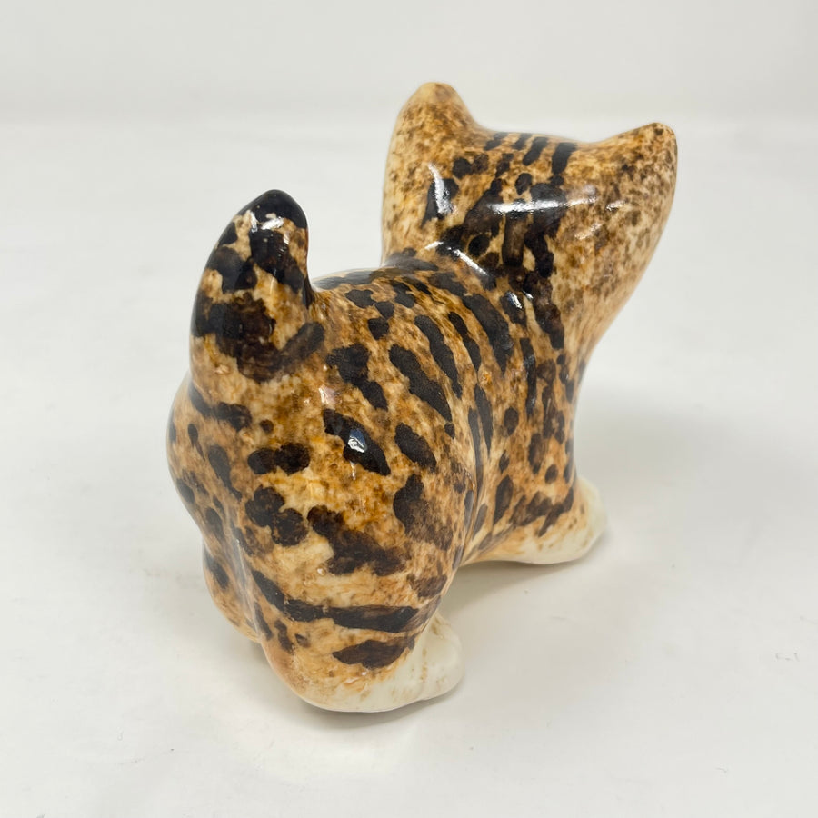 Winstanley Bengal / Tabby Cat - Size 1