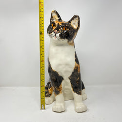 Winstanley Cat Tortoiseshell Size 8