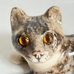 Winstanley Grey Tabby Kitten - Size 1