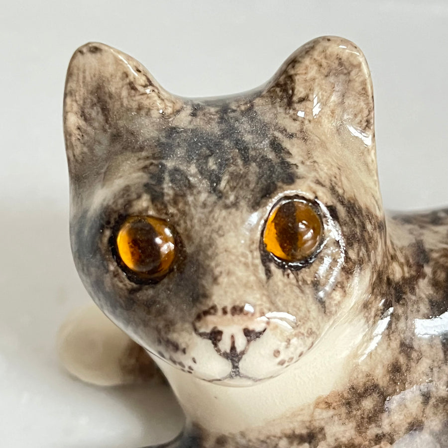 Winstanley Grey Tabby Kitten - Size 1